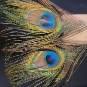 Vibrant Peacock Feather Decor for Birds